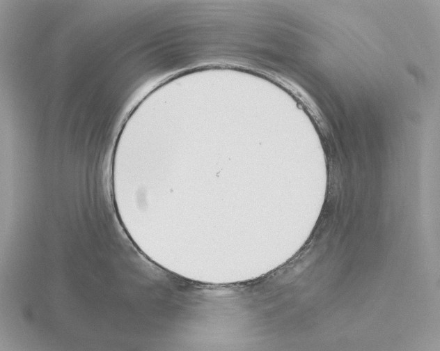 X0000115351199200912151330