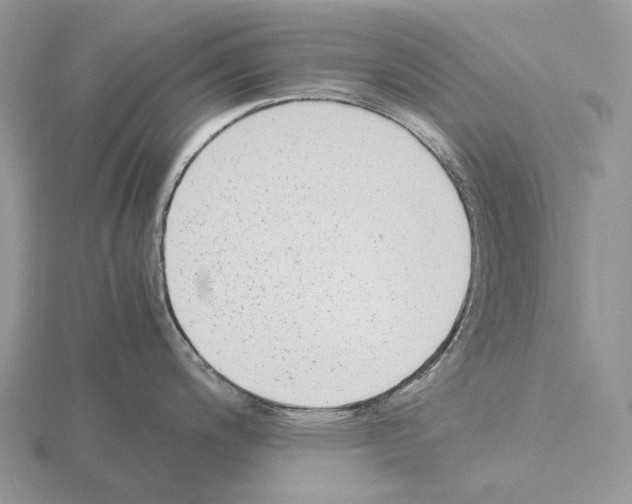 X0000115351200200912151330