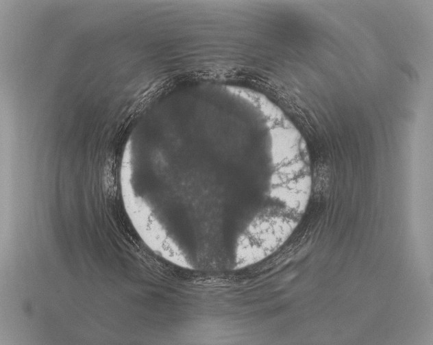 X0000115351202200912151329