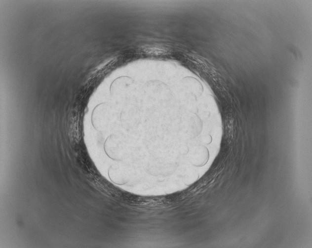 X0000115351205200912151329