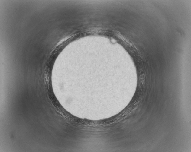 X0000115351206200912151329