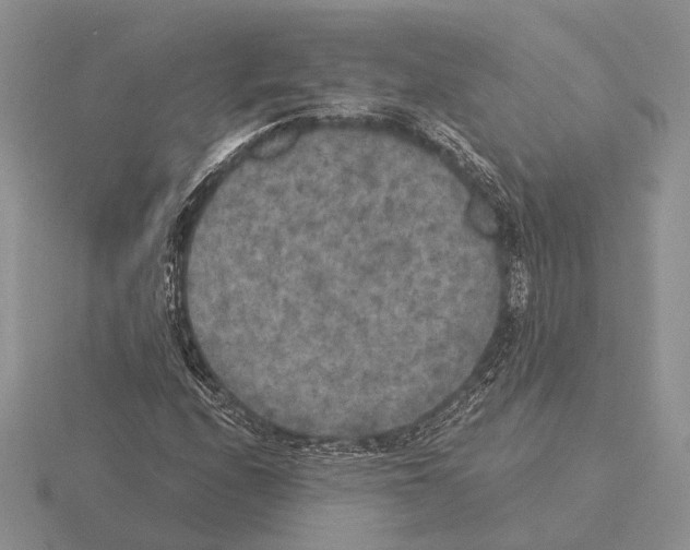 X0000115351208200912151329