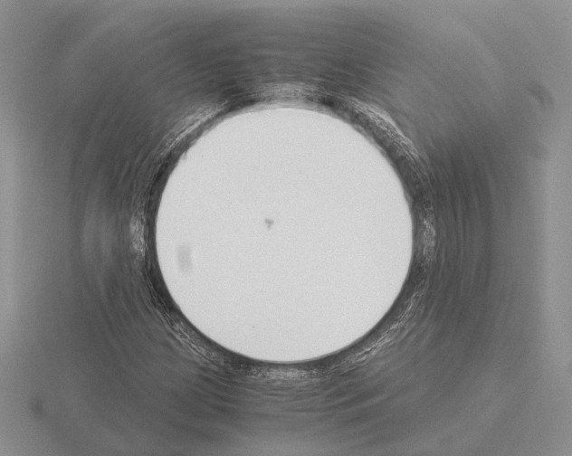 X0000115351209200912151329