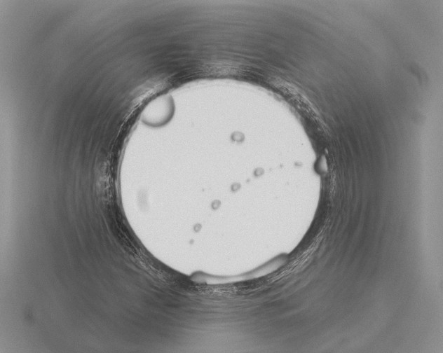 X0000115351210200912151329