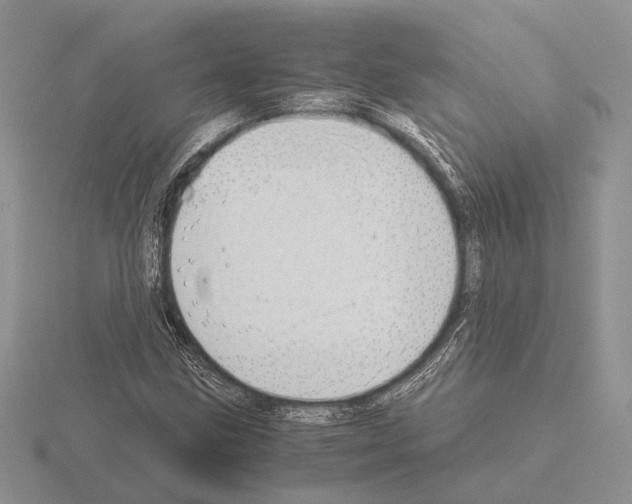 X0000115351211200912151329