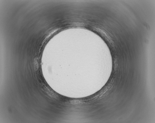 X0000115351212200912151329