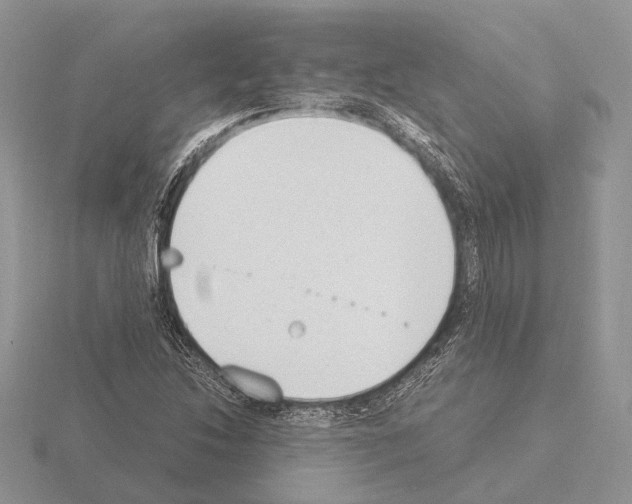 X0000115351214200912151329