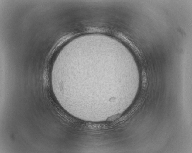 X0000115351215200912151329