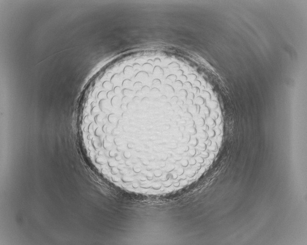 X0000115351216200912151329