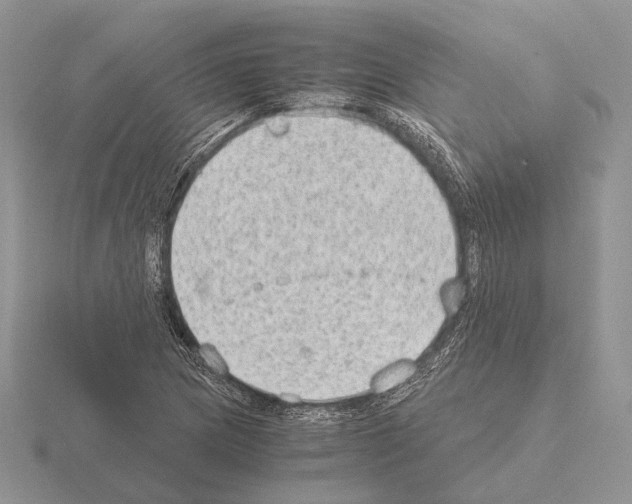 X0000115351217200912151329