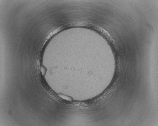 X0000115351218200912151329