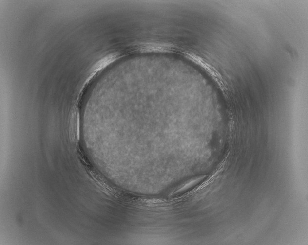 X0000115351219200912151329