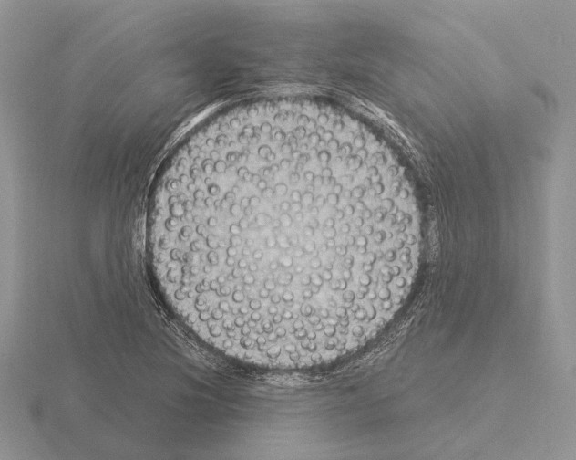 X0000115351220200912151329