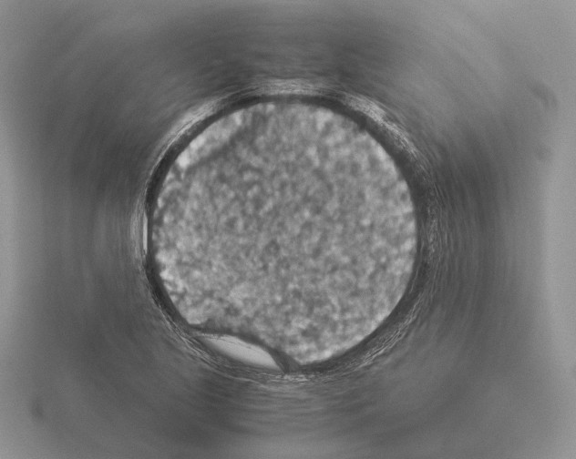 X0000115351221200912151329