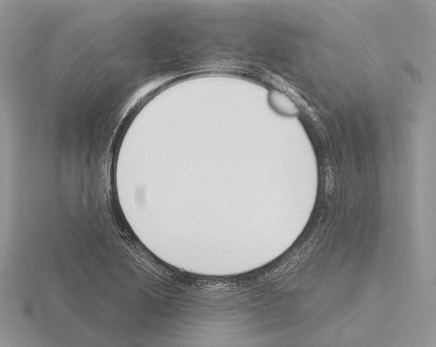 X0000115351222200912151329