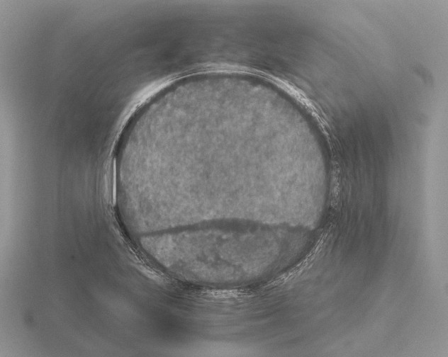 X0000115351223200912151329