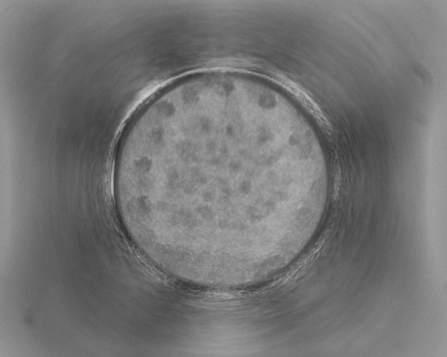 X0000115351224200912151329