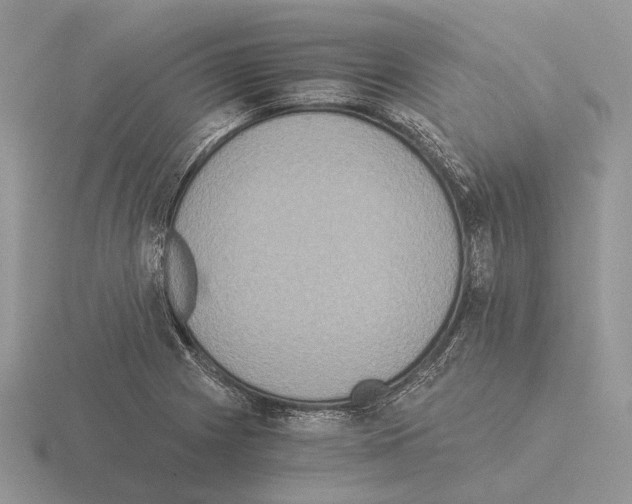 X0000115351225200912151329