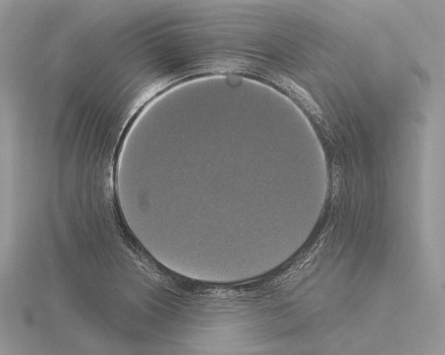 X0000115351226200912151329