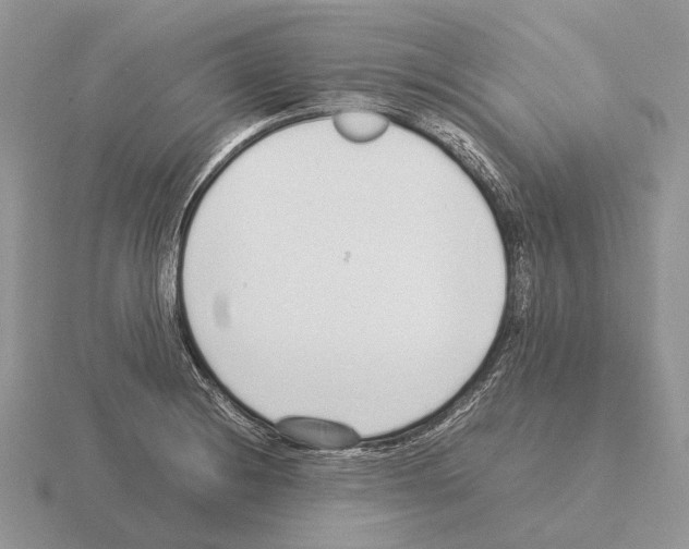 X0000115351228200912151329