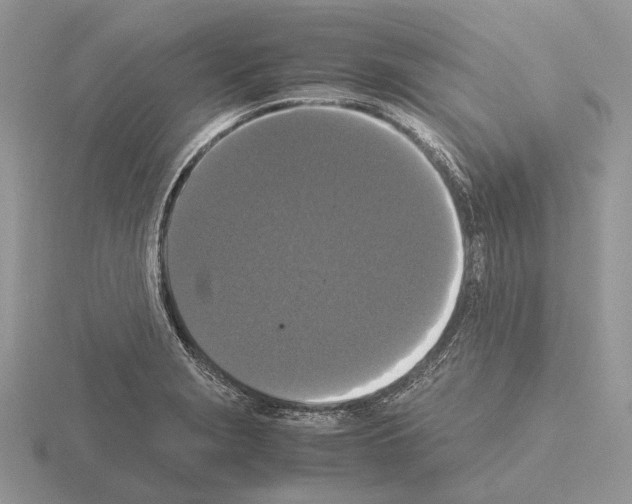 X0000115351229200912151329