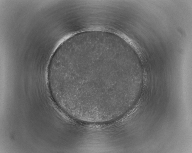 X0000115351230200912151329