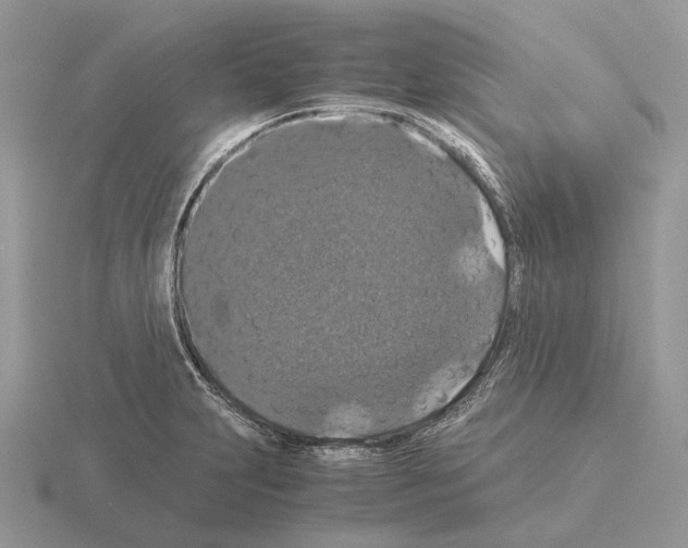 X0000115351231200912151329