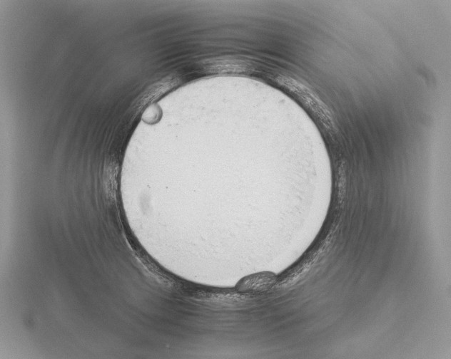 X0000115351233200912151329