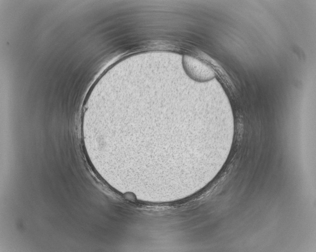 X0000115351236200912151329