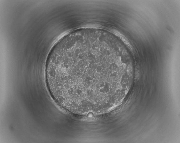 X0000115351237200912151329