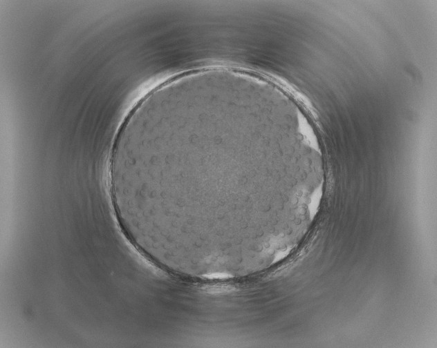 X0000115351239200912151329