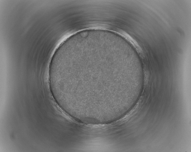 X0000115351240200912151329