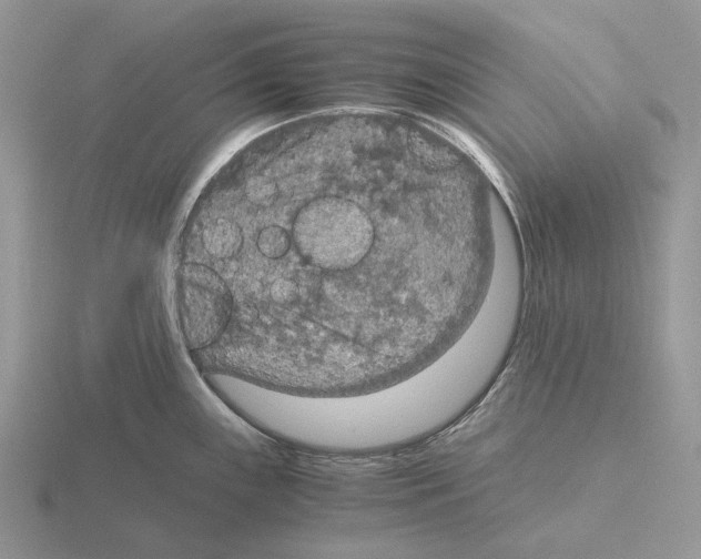 X0000115351243200912151329