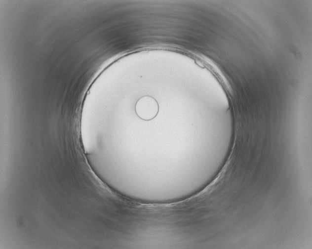 X0000115351244200912151329