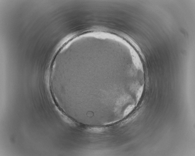 X0000115351245200912151329