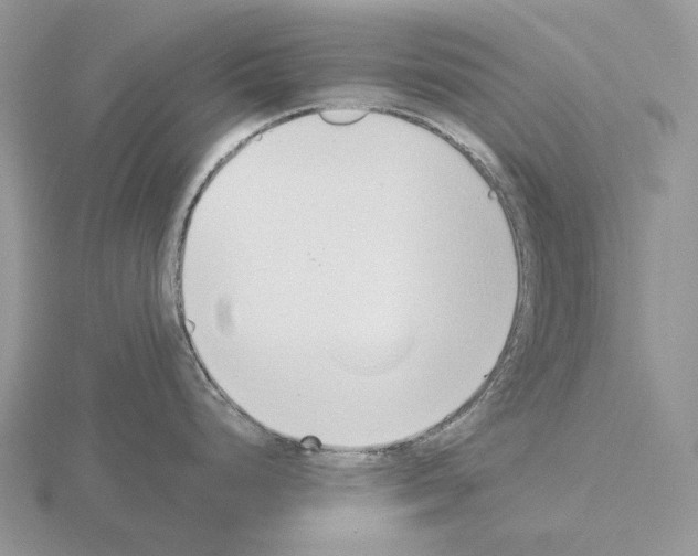 X0000115351248200912151330