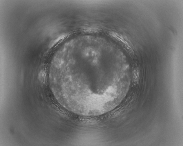 X0000115351254200912151329