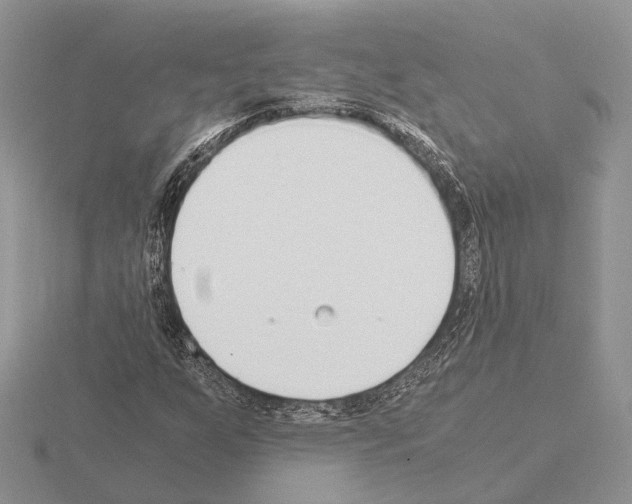 X0000115351255200912151329