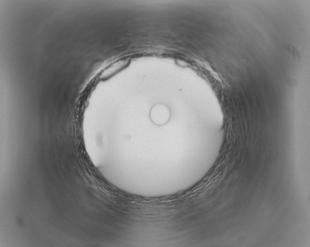 X0000115351256200912151329