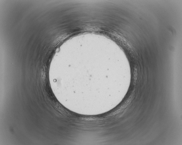 X0000115351257200912151329