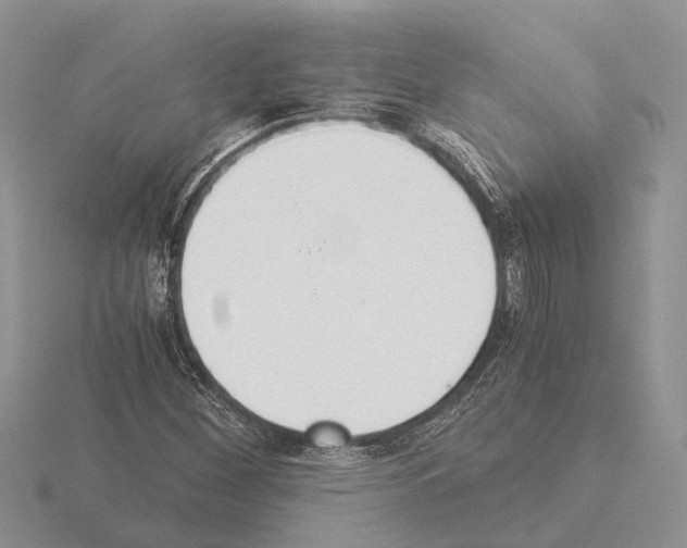 X0000115351260200912151329