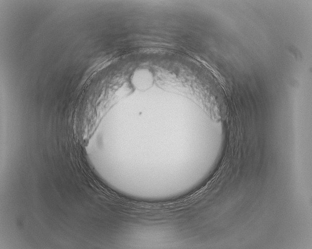 X0000115351261200912151329