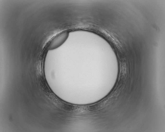 X0000115351262200912151329