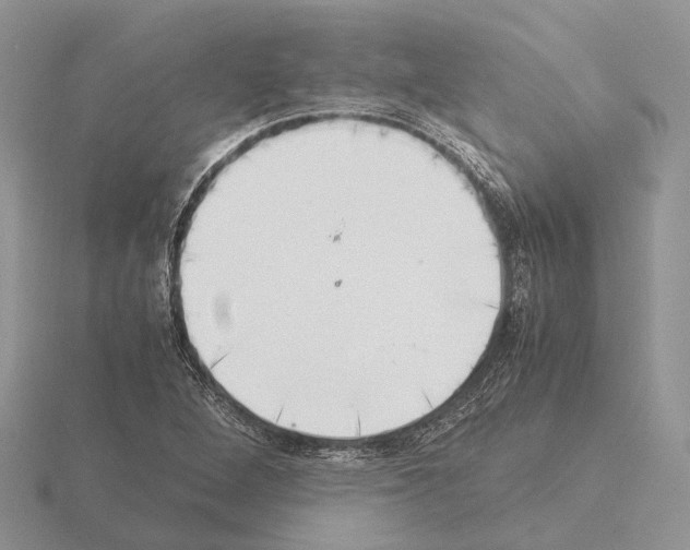 X0000115351264200912151329