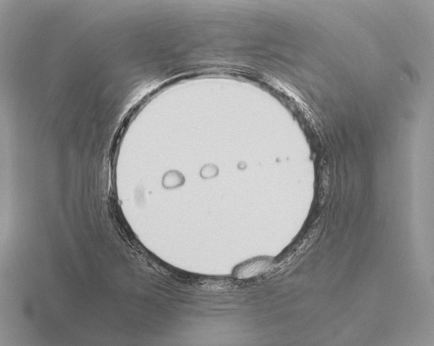 X0000115351267200912151329