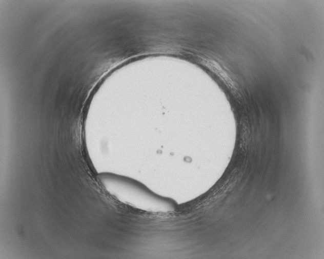 X0000115351268200912151329