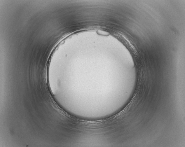 X0000115351276200912151329