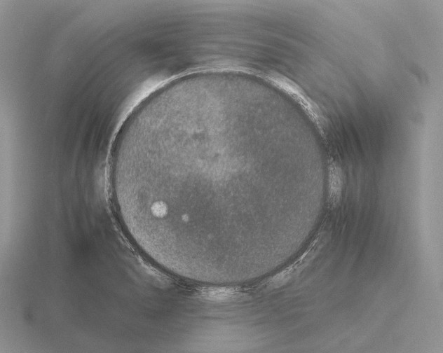 X0000115351278200912151329