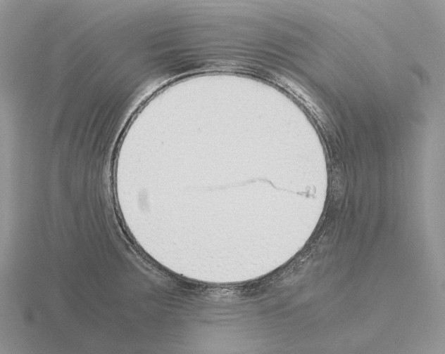 X0000115351283200912151328