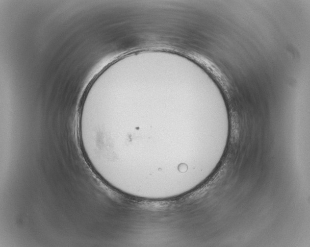 X0000115351286200912151328